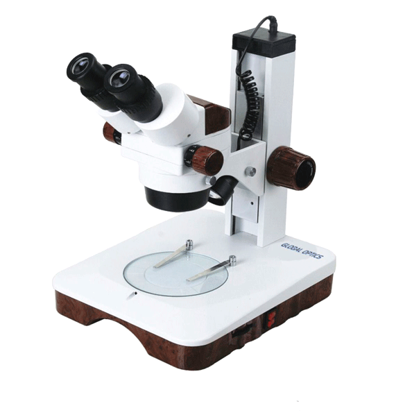 Microscópios Estereoscópios